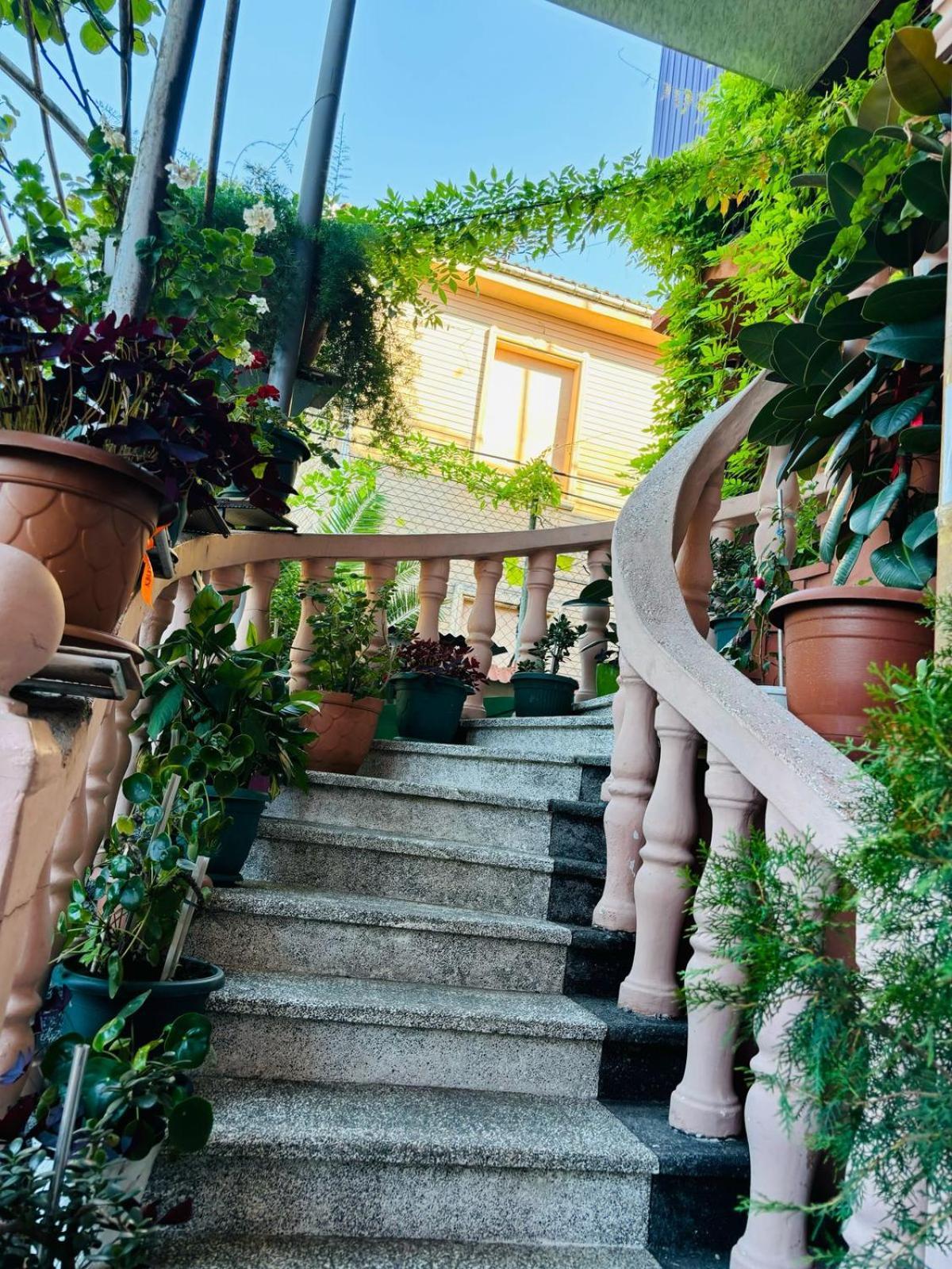 Гостевой дом Nana's House Батуми