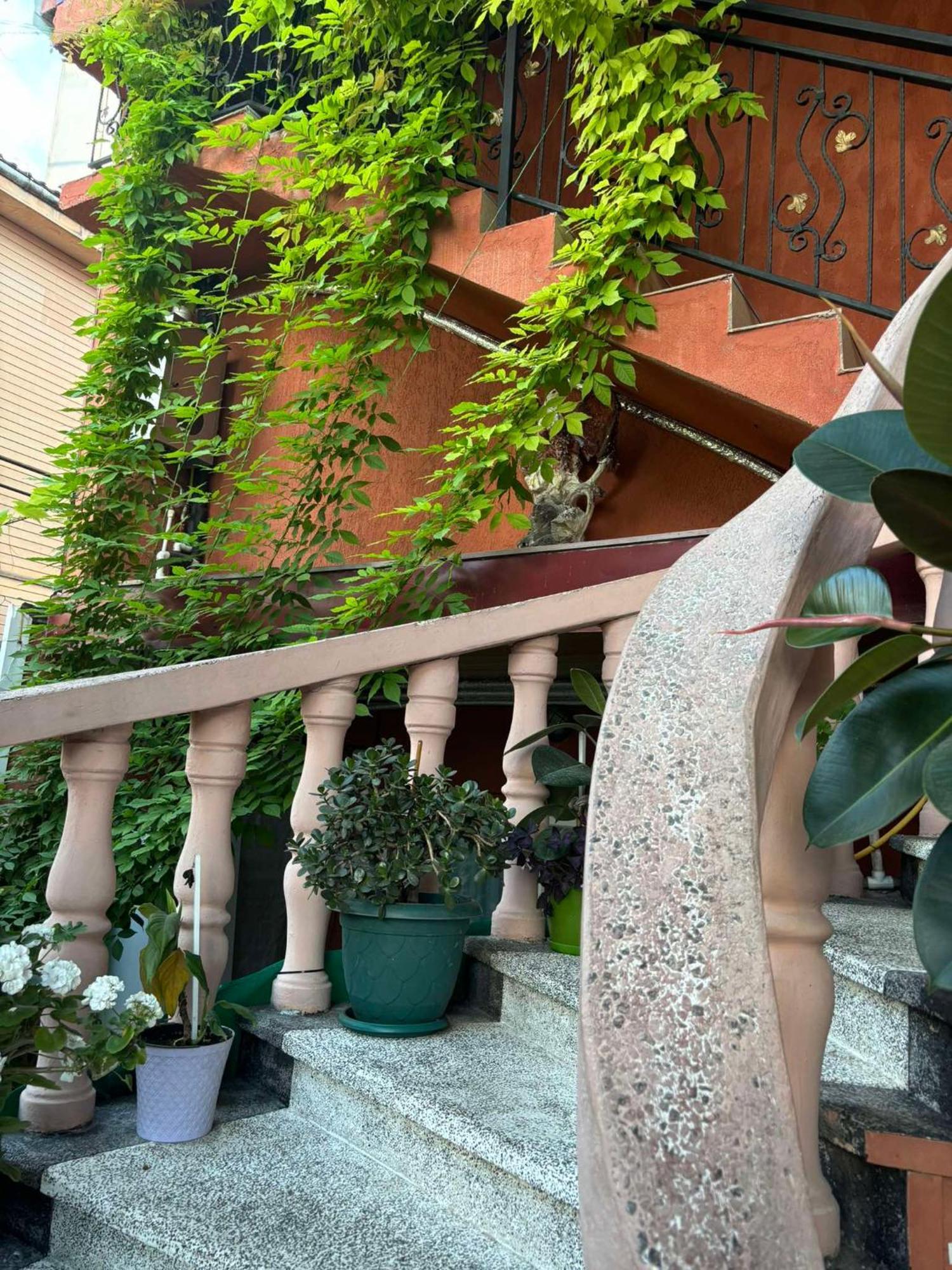 Nana's House *